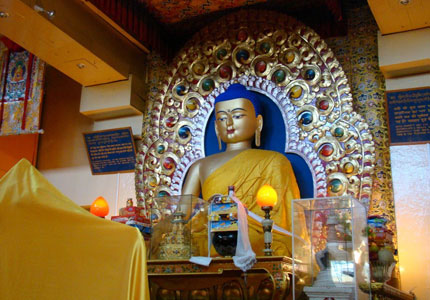 Mcleodganj & Dharamshala Hillside Adventure