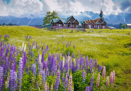 Blissful Kashmir Retreat: Chandigarh to Srinagar