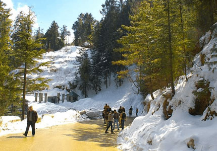 Adventure Hills: Chandigarh to Shimla & Manali