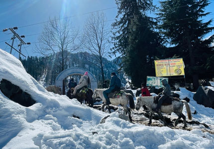 Mountain Wonders: Chandigarh to Shimla & Manali
