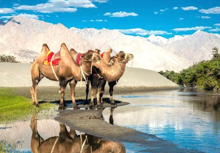 9-Days Ladakh Adventure from Chandigarh
