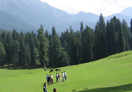 Himalayan Gems: Sonmarg, Pahalgam & Gulmarg from Jammu