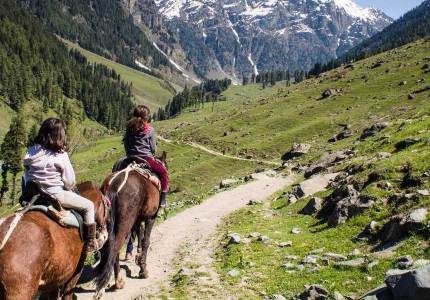 Chandigarh to Kashmir & Amritsar: 6-Days Adventure