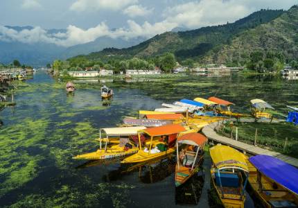 Kashmir Bliss: 7-Days Getaway from Chandigarh